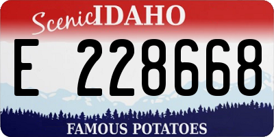 ID license plate E228668