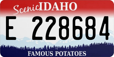 ID license plate E228684