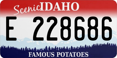 ID license plate E228686