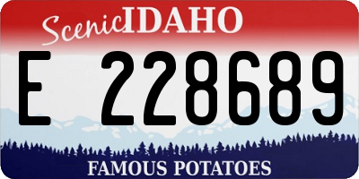ID license plate E228689
