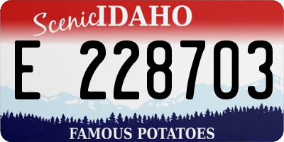 ID license plate E228703