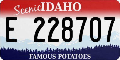 ID license plate E228707