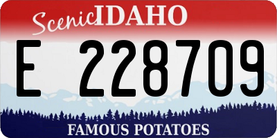 ID license plate E228709