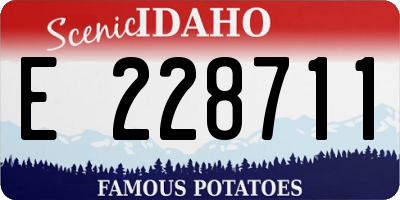 ID license plate E228711