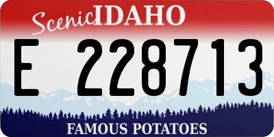 ID license plate E228713
