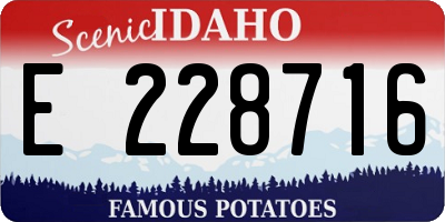 ID license plate E228716