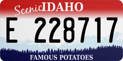 ID license plate E228717