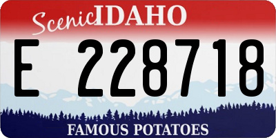 ID license plate E228718