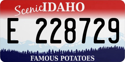 ID license plate E228729