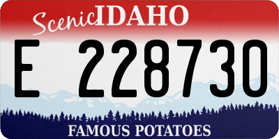 ID license plate E228730
