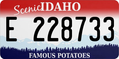 ID license plate E228733