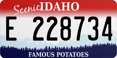 ID license plate E228734