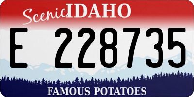 ID license plate E228735