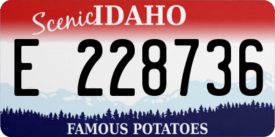 ID license plate E228736