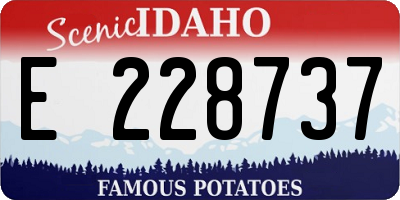 ID license plate E228737