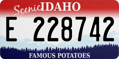 ID license plate E228742