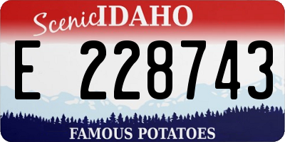 ID license plate E228743