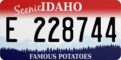 ID license plate E228744