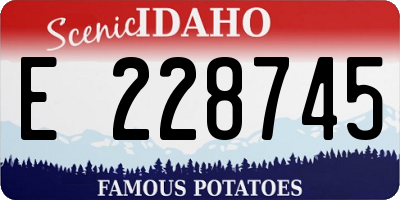 ID license plate E228745