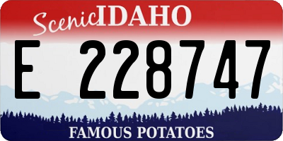 ID license plate E228747