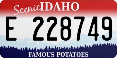 ID license plate E228749
