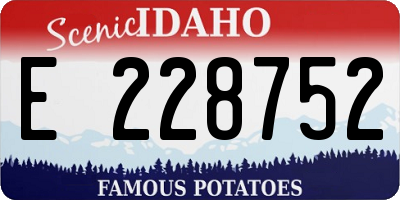 ID license plate E228752