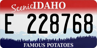 ID license plate E228768