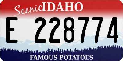 ID license plate E228774