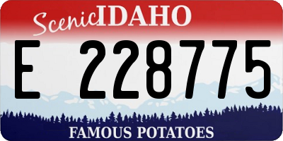 ID license plate E228775