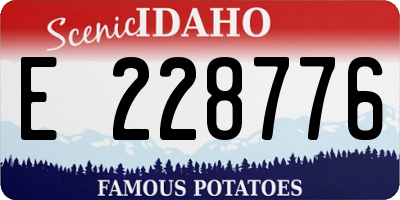 ID license plate E228776