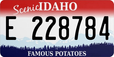 ID license plate E228784