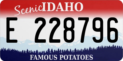 ID license plate E228796
