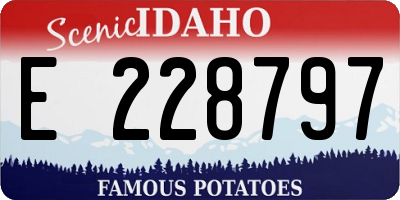 ID license plate E228797