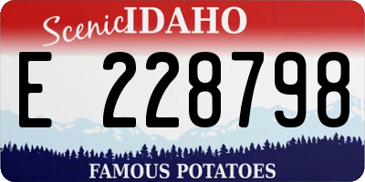ID license plate E228798