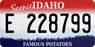 ID license plate E228799