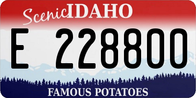 ID license plate E228800