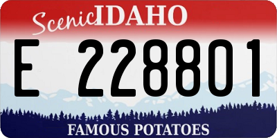 ID license plate E228801
