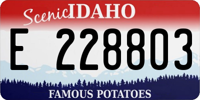 ID license plate E228803