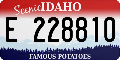 ID license plate E228810
