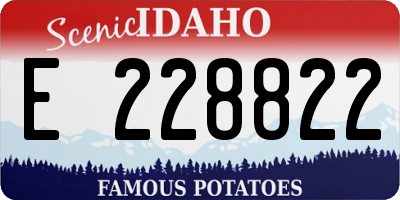 ID license plate E228822