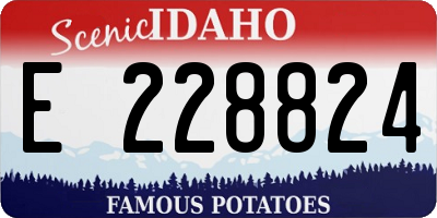 ID license plate E228824