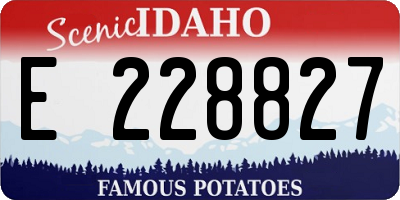 ID license plate E228827
