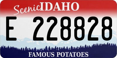 ID license plate E228828