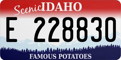 ID license plate E228830
