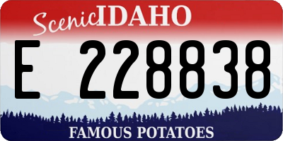 ID license plate E228838