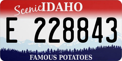 ID license plate E228843