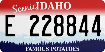 ID license plate E228844