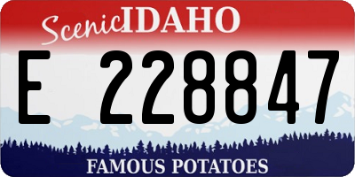ID license plate E228847
