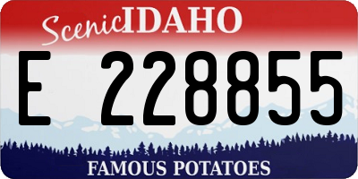 ID license plate E228855