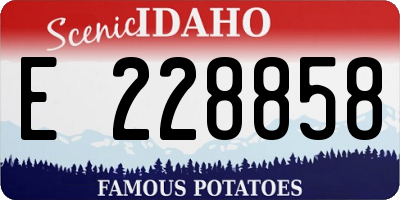 ID license plate E228858